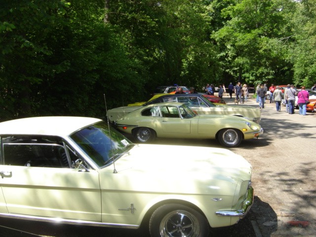 Corvette Sunday 125.jpg